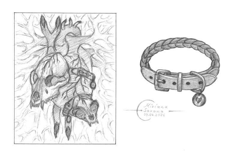 - Collar -