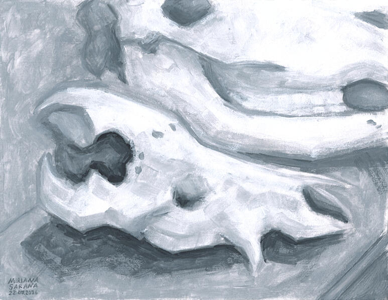 - Pig Skull -