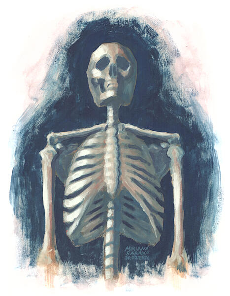 - Human Skeleton -