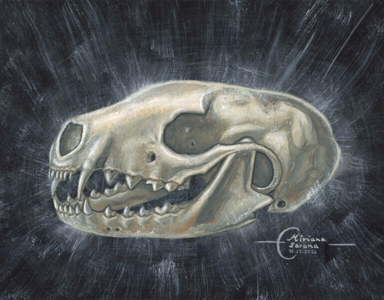 - Marten Skull -