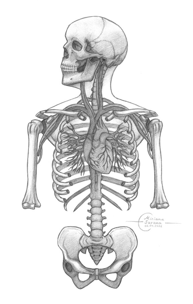 - Skeleton With Heart -